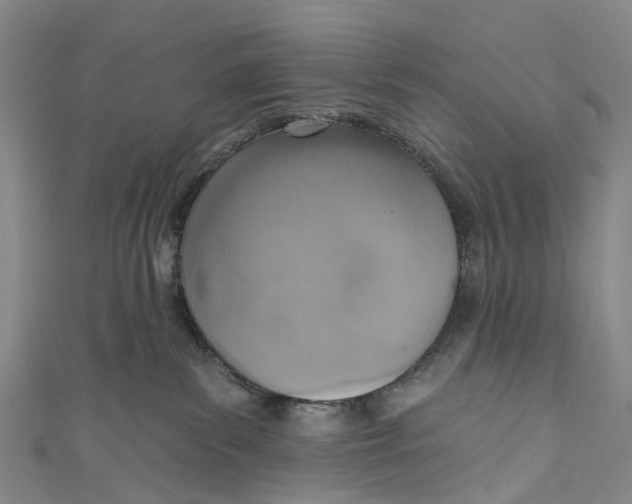 X0000110980139200907101418