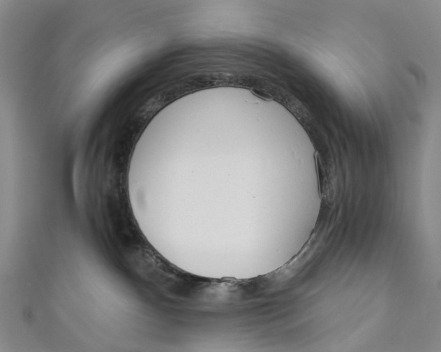 X0000110980140200907101418