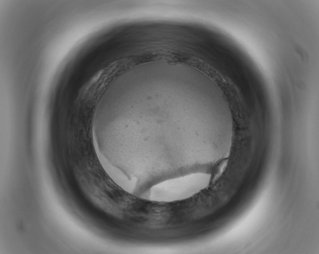 X0000110980143200907101418