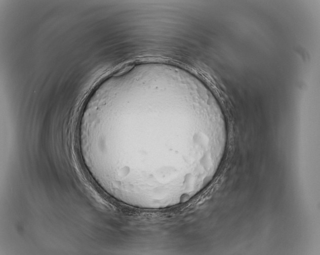 X0000110980145200907101417