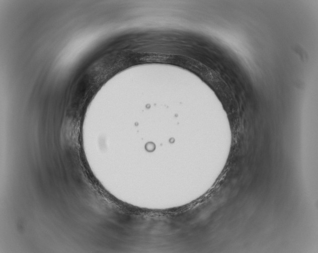 X0000110980146200907101417