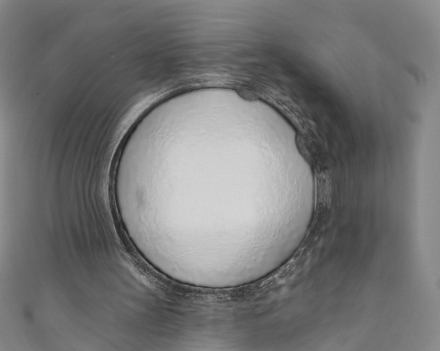 X0000110980147200907101417