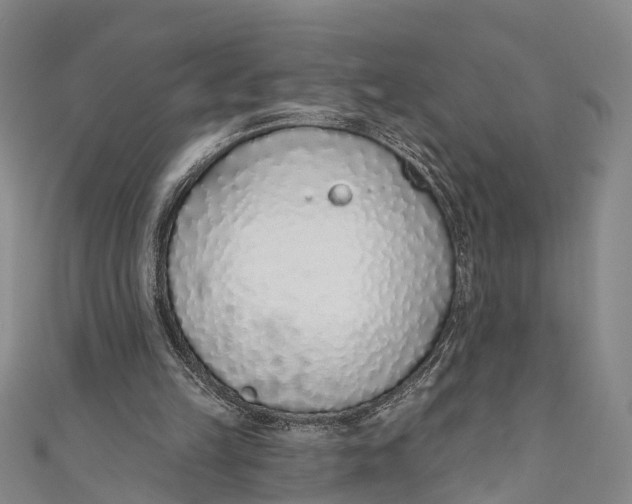 X0000110980149200907101417