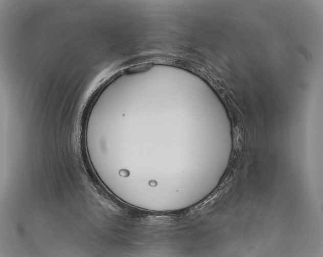 X0000110980150200907101417