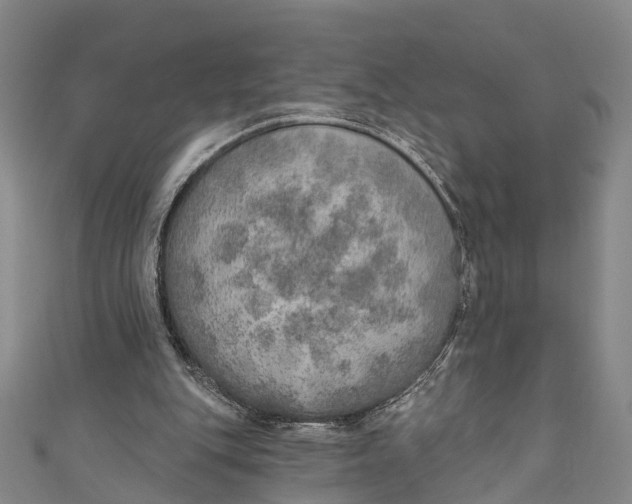 X0000110980151200907101417