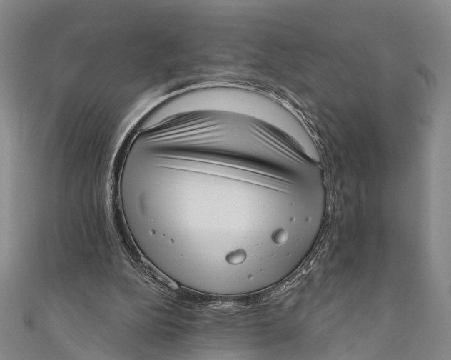 X0000110980152200907101417