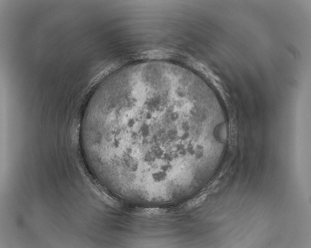 X0000110980153200907101417