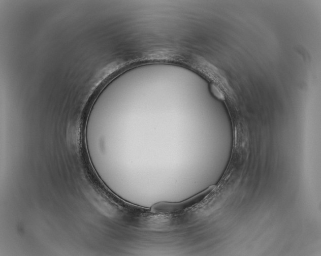 X0000110980156200907101417