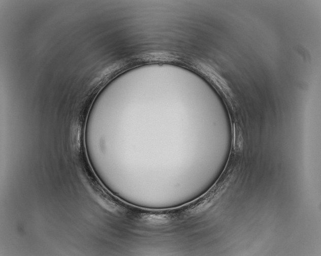 X0000110980157200907101417