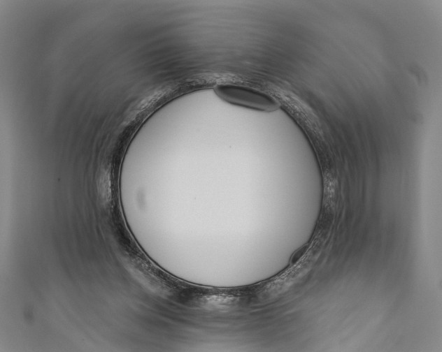 X0000110980158200907101417