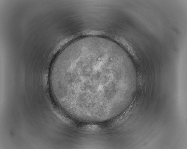 X0000110980159200907101417