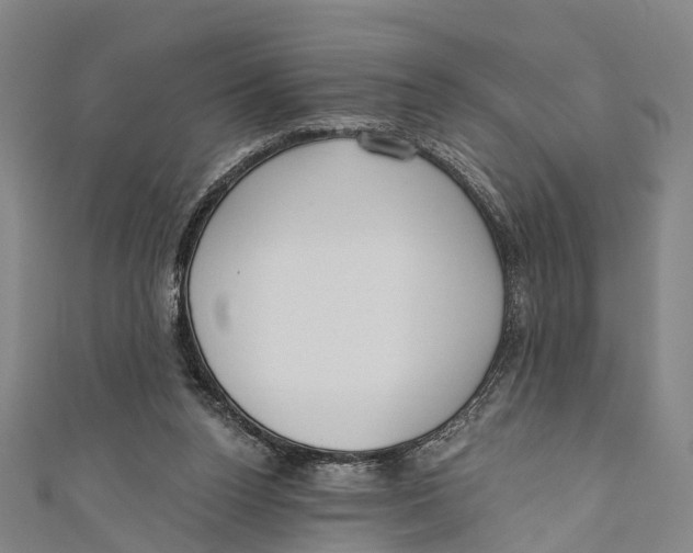 X0000110980160200907101417