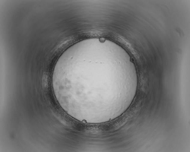 X0000110980161200907101417