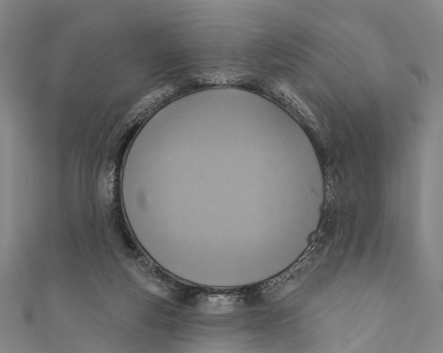 X0000110980163200907101417