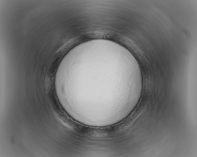 X0000110980165200907101417