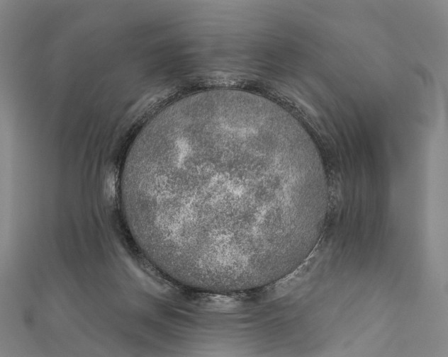 X0000110980166200907101417