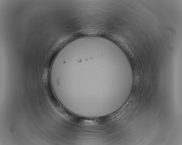 X0000110980167200907101417