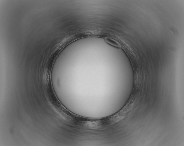 X0000110980168200907101417