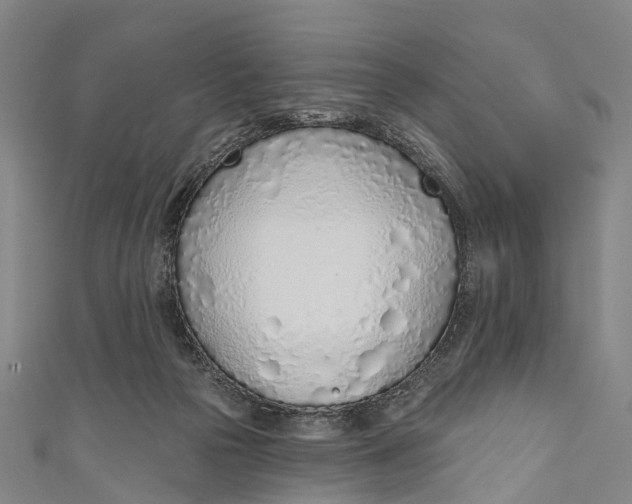 X0000110980169200907101417