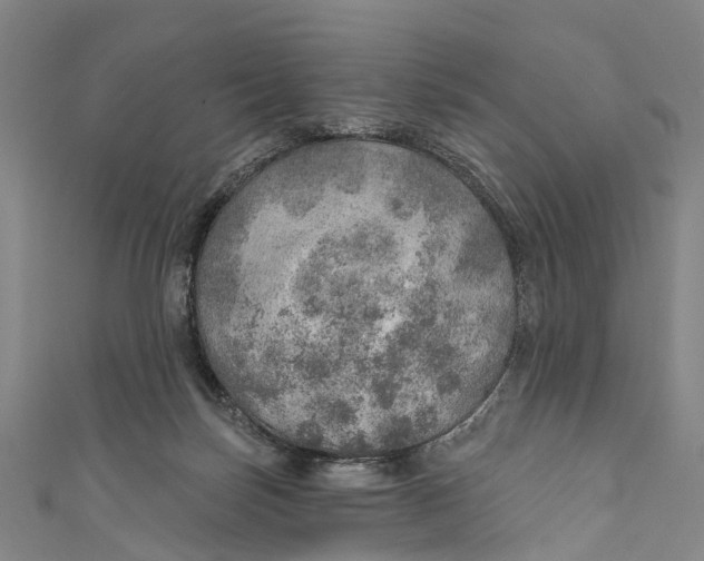 X0000110980171200907101417