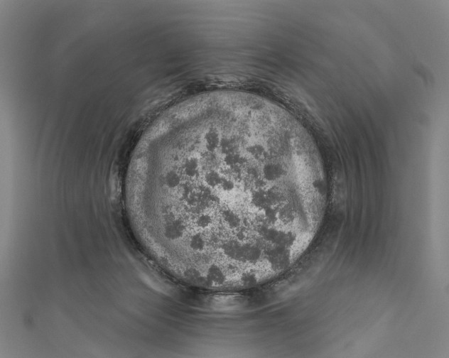 X0000110980173200907101417