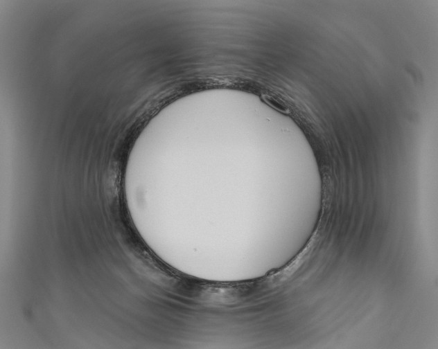 X0000110980174200907101417