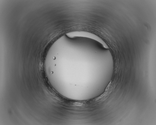 X0000110980176200907101417