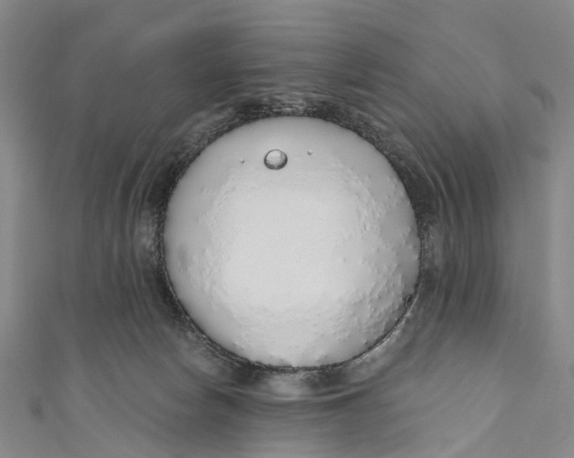 X0000110980178200907101417