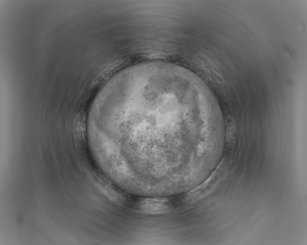 X0000110980179200907101417