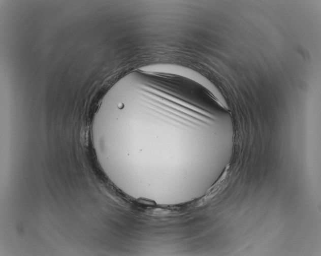 X0000110980180200907101417