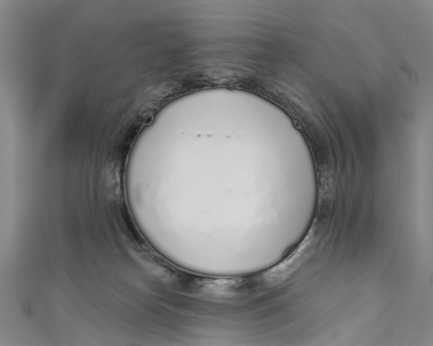 X0000110980182200907101417