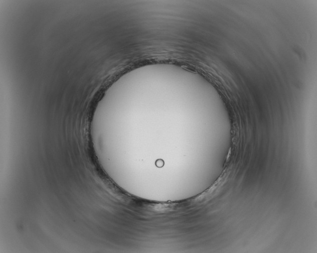 X0000110980184200907101417