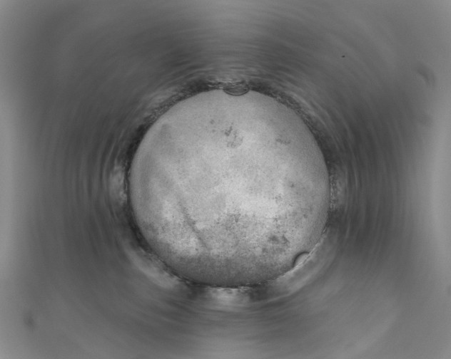 X0000110980187200907101417