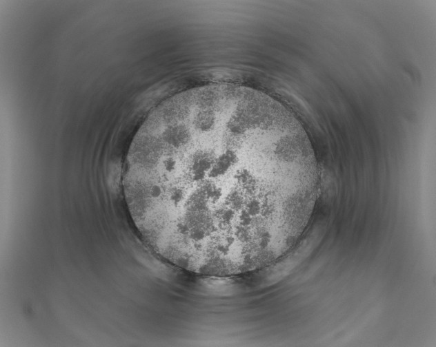 X0000110980189200907101417