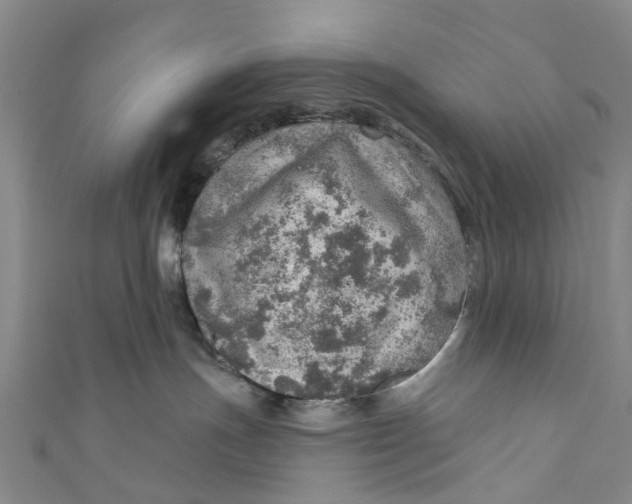 X0000110980191200907101418