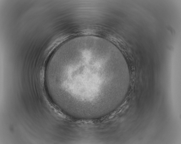 X0000110980194200907101417