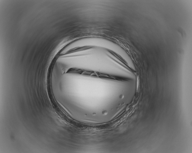 X0000110980195200907101417