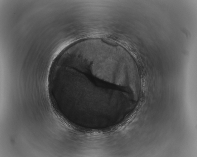 X0000110980196200907101417