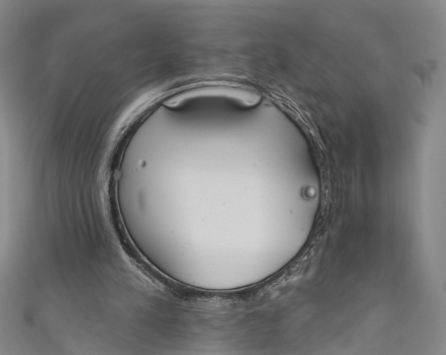 X0000110980197200907101417