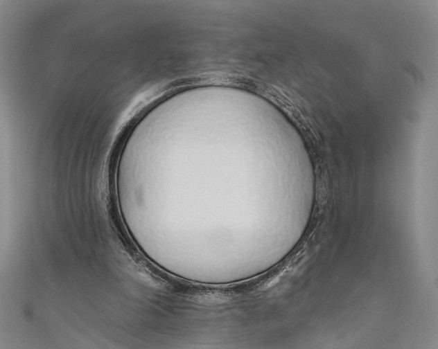 X0000110980198200907101417