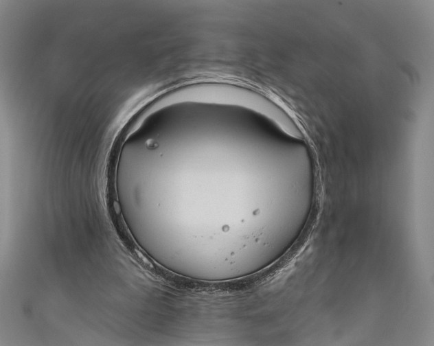 X0000110980199200907101417