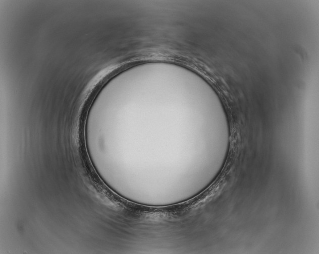 X0000110980200200907101417