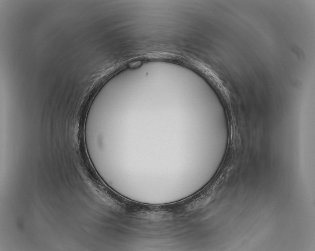 X0000110980201200907101417