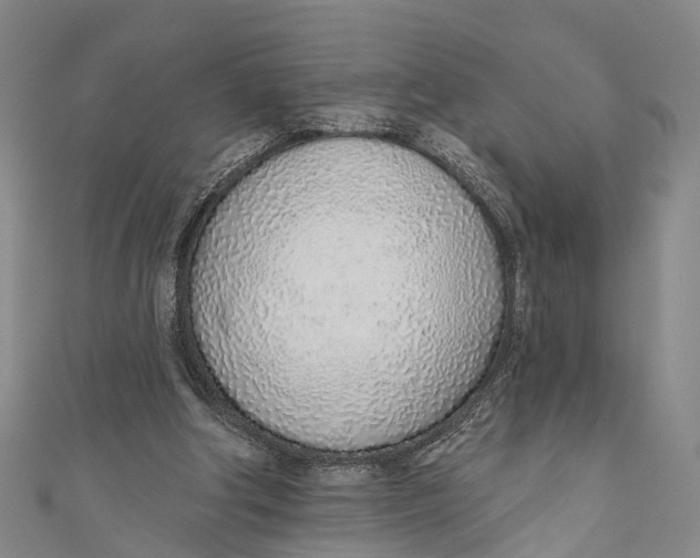 X0000110980202200907101417