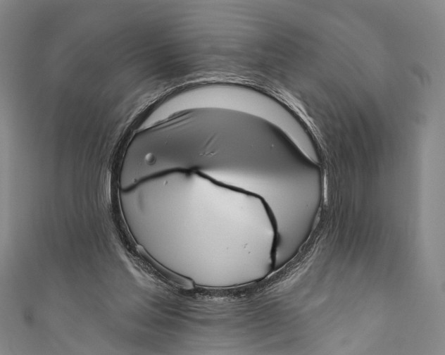 X0000110980205200907101417