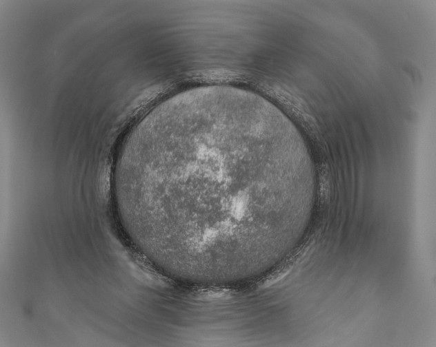 X0000110980206200907101417