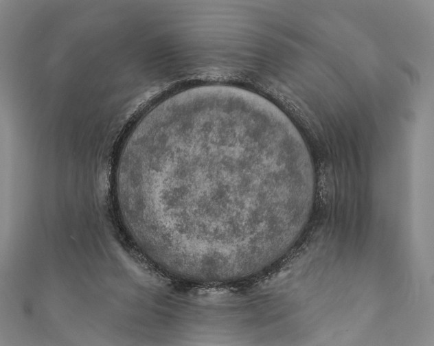 X0000110980208200907101417