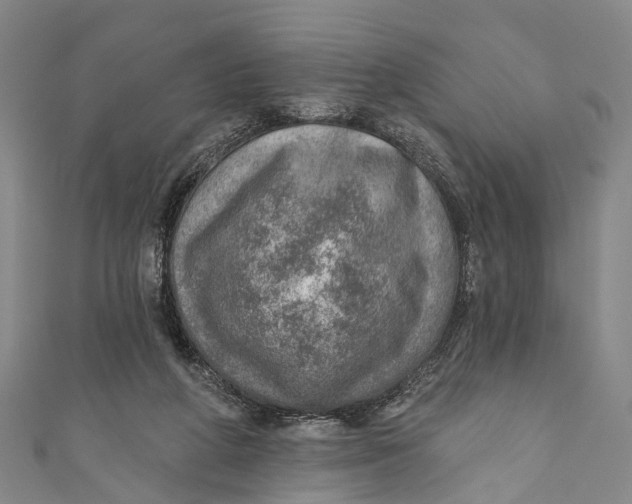 X0000110980210200907101417