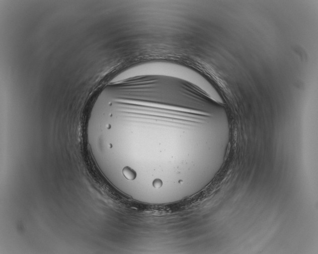 X0000110980211200907101417