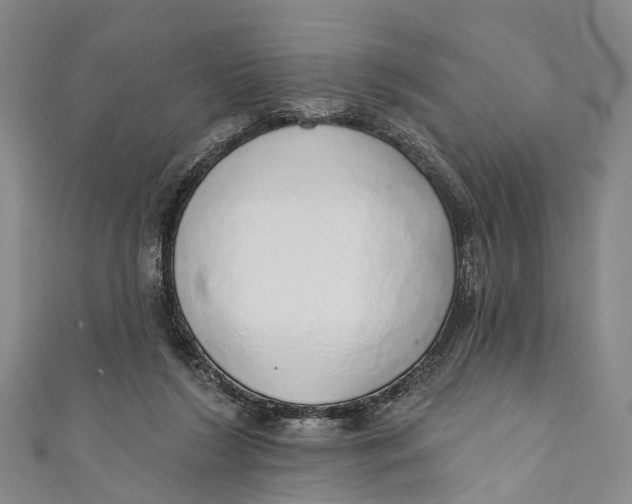 X0000110980212200907101417